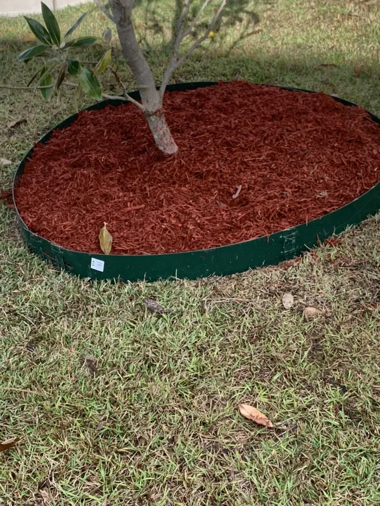 Reliable yard cleanup service in Leesville, SC by Nunez Landscaping