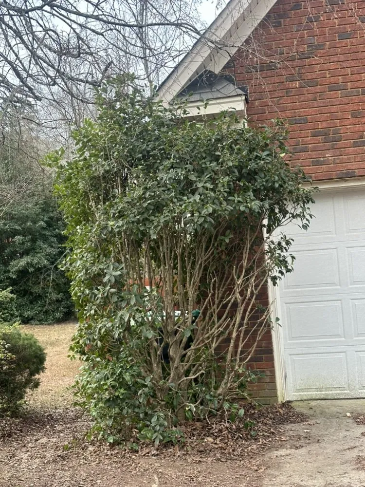 Professional lawn mowing service in Leesville, SC - Nunez Landscaping