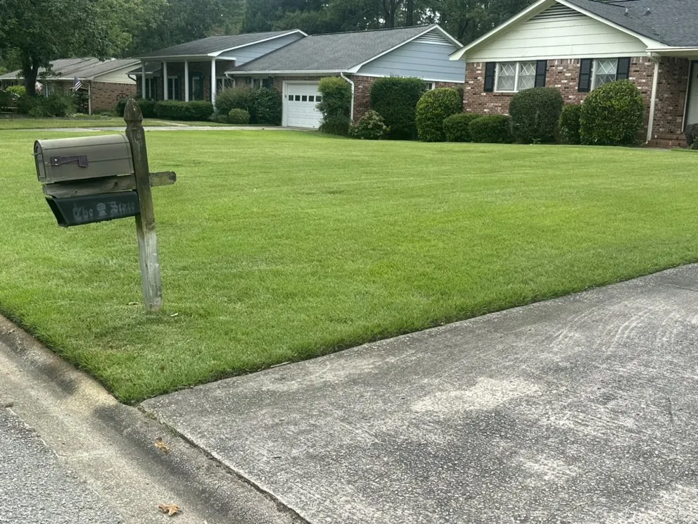 Reliable landscape installation in Leesville, SC by Nunez Landscaping