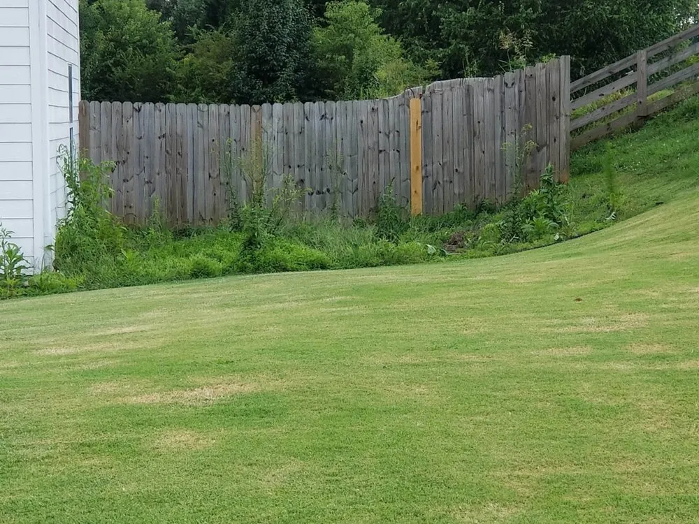 Affordable landscape installation in Carrollton, GA by Nunez Lawn Care