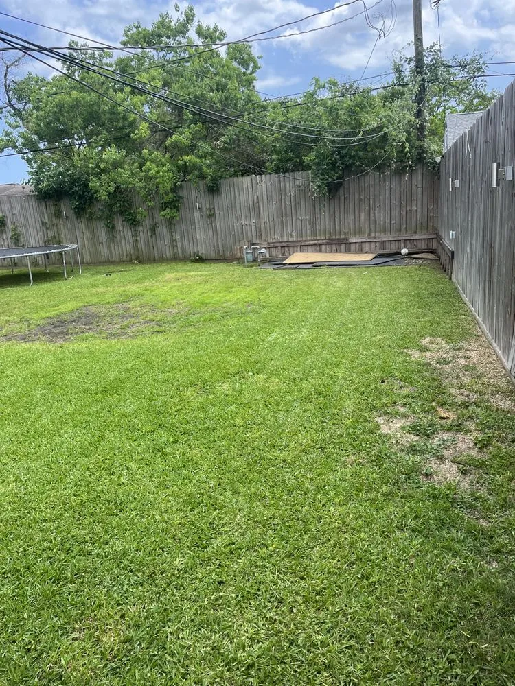 Affordable yard maintenance experts serving Houston, TX - Nunez Lawn Care