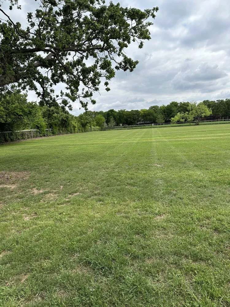 Local lawn mowing service experts serving North Richland Hills, TX - Nunez Lawn Care