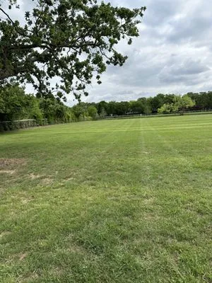 Nunez Lawn Care Logo