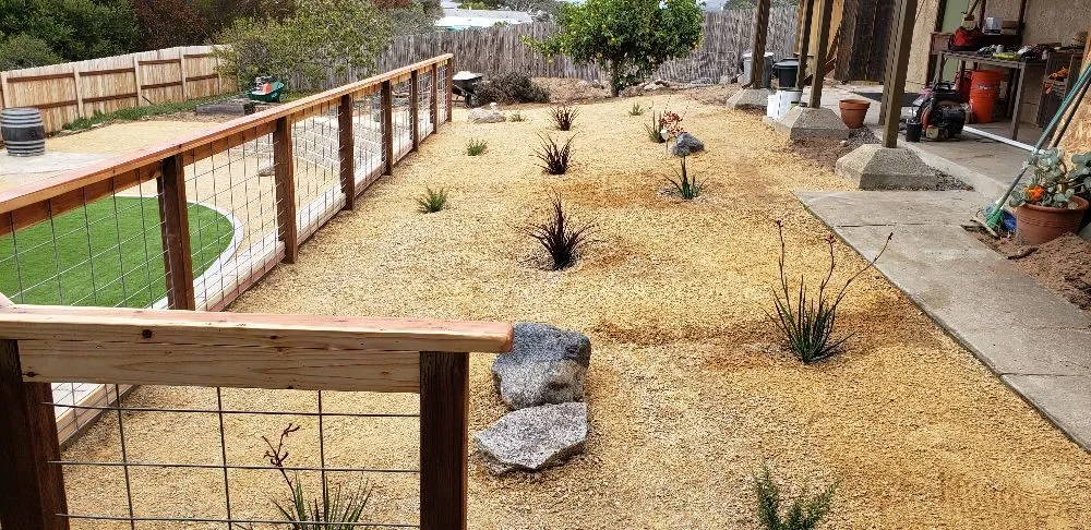 Trusted yard cleanup service experts serving Los Osos, CA - Nunez Maintenace Services