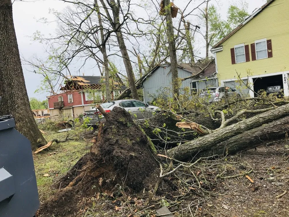 Local outdoor landscaping in Pullman, MI - Nunez Mowing and Tree Service