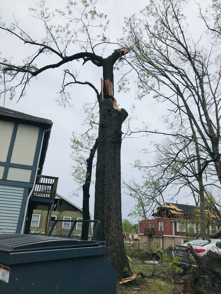 Expert yard maintenance with custom design across Pullman, MI - Nunez Mowing and Tree Service