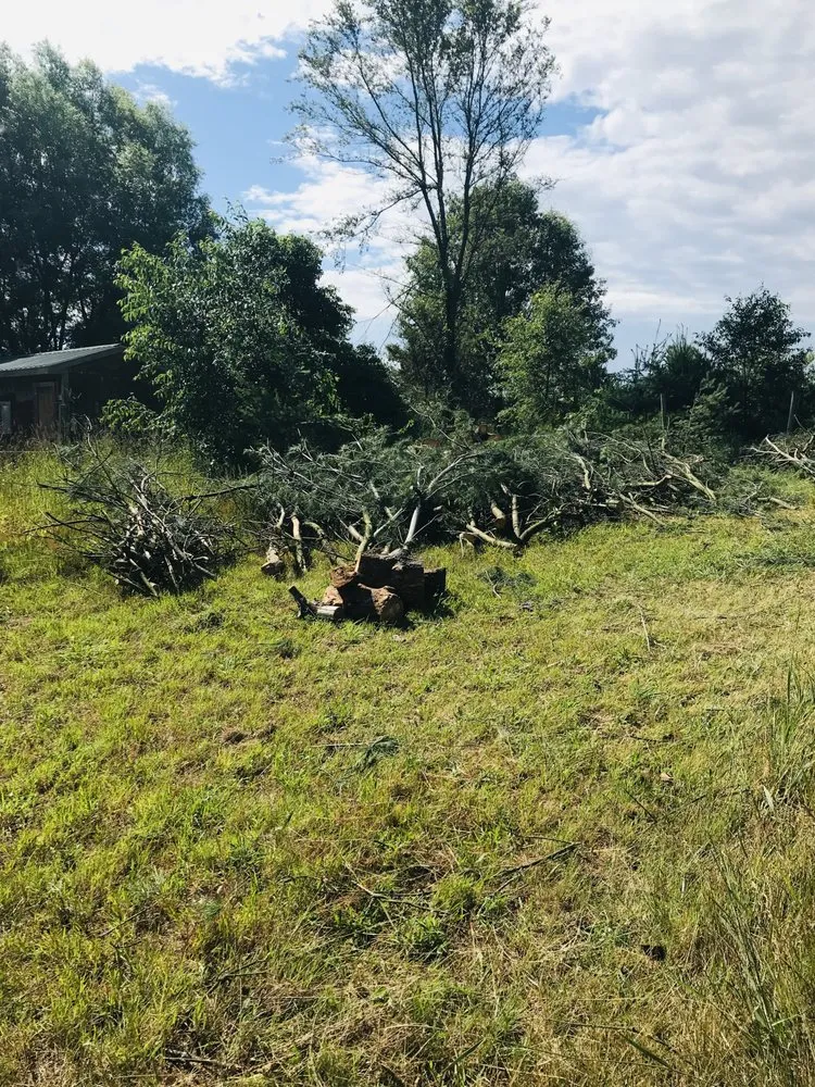Professional yard cleanup service for beautiful yards across Pullman, MI - Nunez Mowing and Tree Service