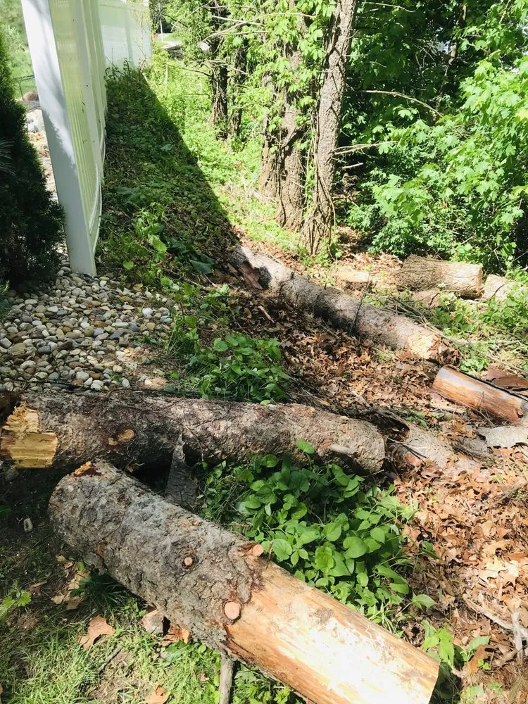 Expert landscape installation in Pullman, MI - Nunez Mowing and Tree Service