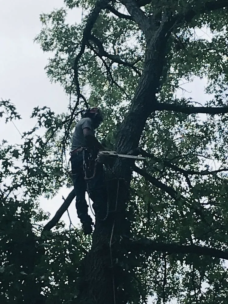 Affordable residential landscaping in Pullman, MI by Nunez Mowing and Tree Service