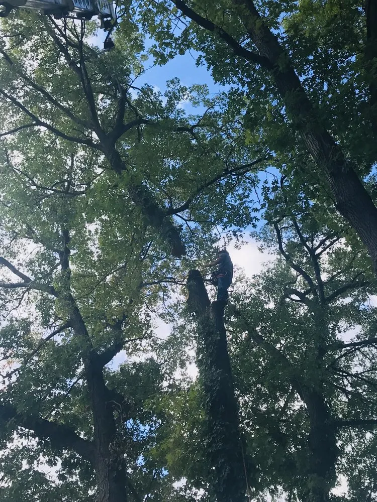 Reliable residential landscaping in Pullman, MI by Nunez Mowing and Tree Service