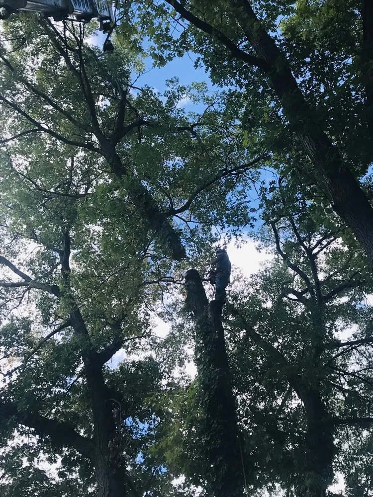 Reliable outdoor landscaping in Pullman, MI by Nunez Mowing and Tree Service