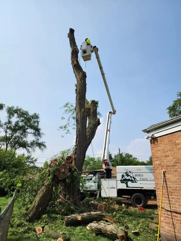 Expert landscape design for beautiful yards across Pullman, MI - Nunez Mowing and Tree Service