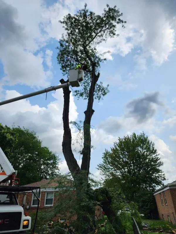 Affordable yard maintenance experts serving Pullman, MI - Nunez Mowing and Tree Service