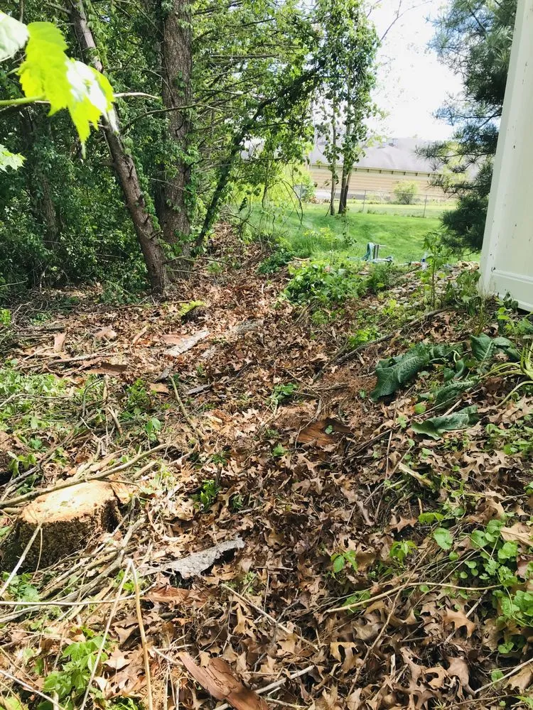 Affordable garden landscaping for outdoor upgrades in Pullman, MI by Nunez Mowing and Tree Service