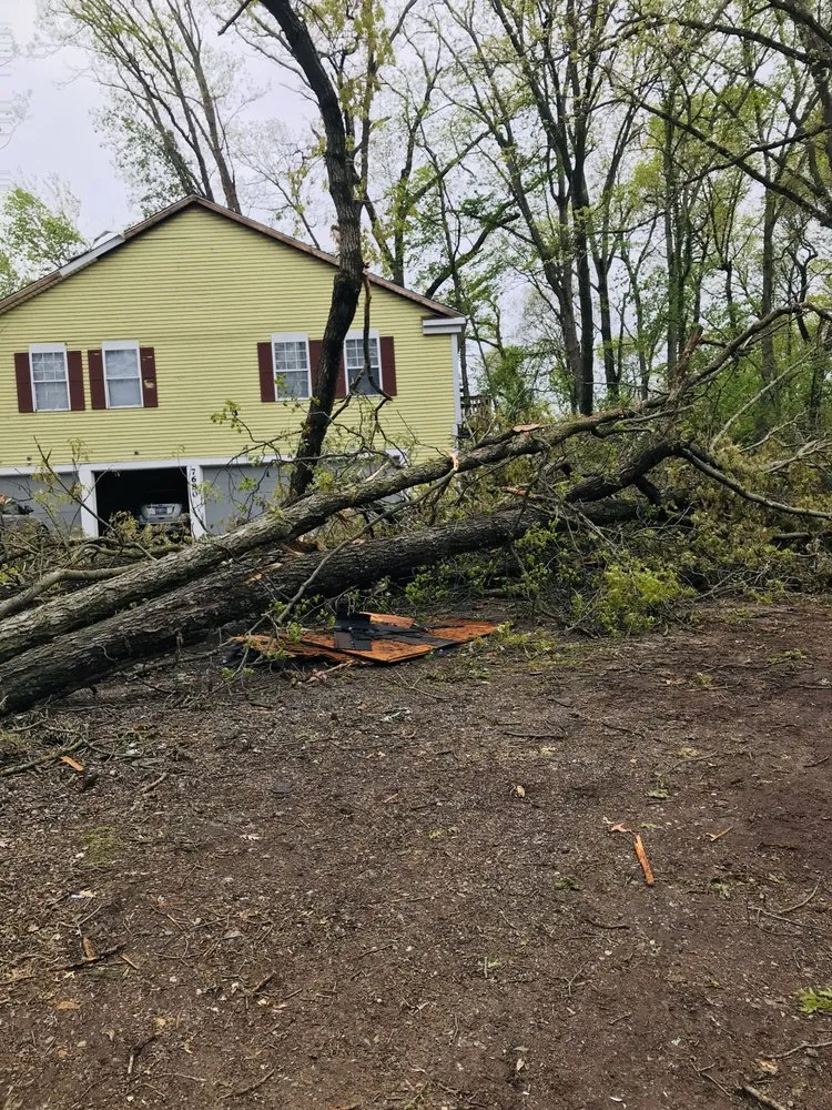 Custom yard cleanup service in Pullman, MI - Nunez Mowing and Tree Service