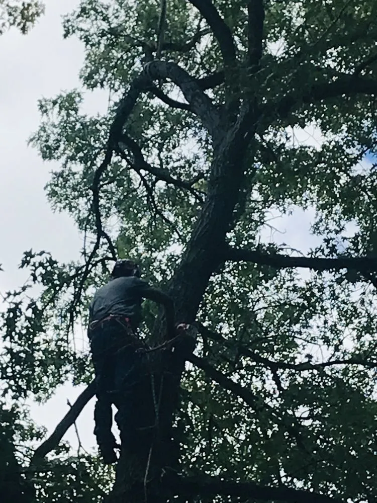 Custom residential landscaping in Pullman, MI by Nunez Mowing and Tree Service