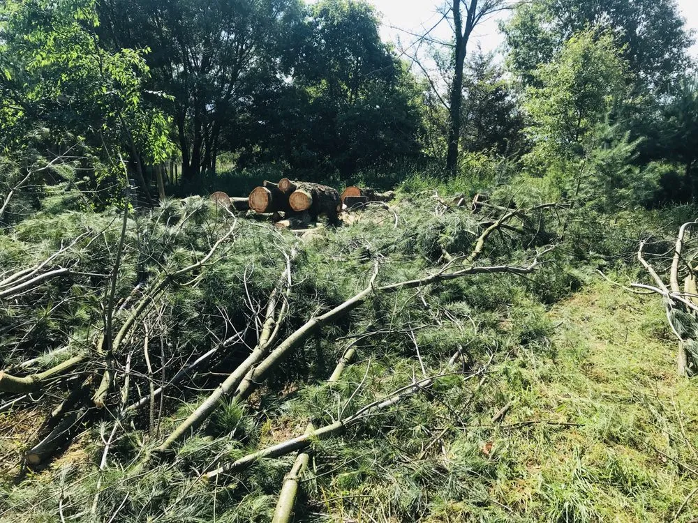 Local lawn mowing service for year-round maintenance across Pullman, MI - Nunez Mowing and Tree Service