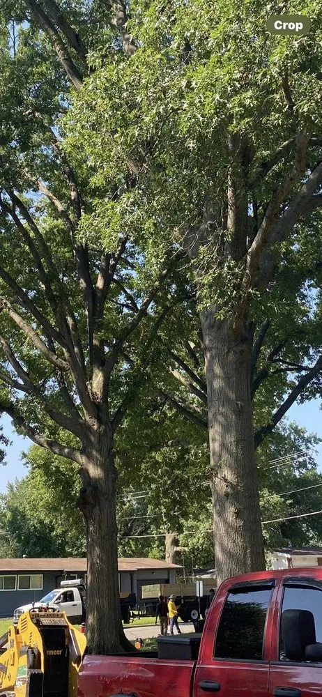 Local outdoor landscaping experts serving Fenton, MO - Nunez Tree & Landscaping