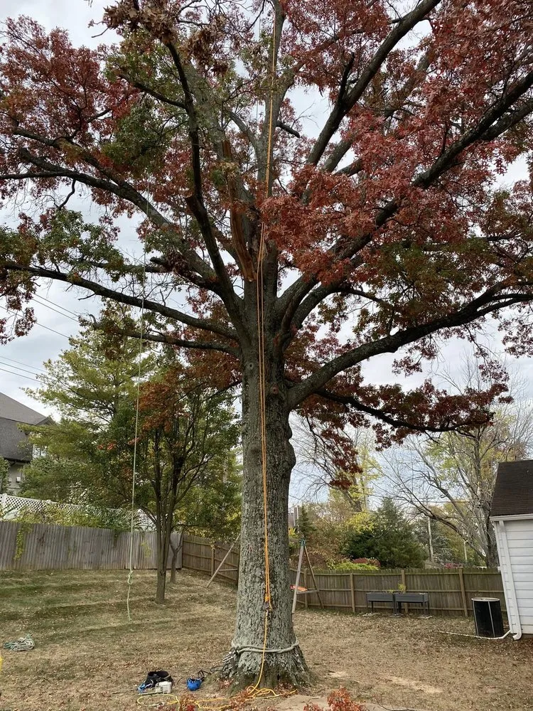 Custom garden landscaping experts serving Fenton, MO - Nunez Tree & Landscaping