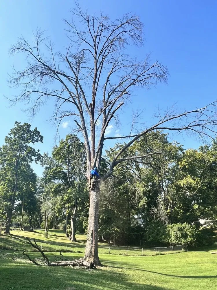 Expert garden landscaping experts serving Fenton, MO - Nunez Tree & Landscaping