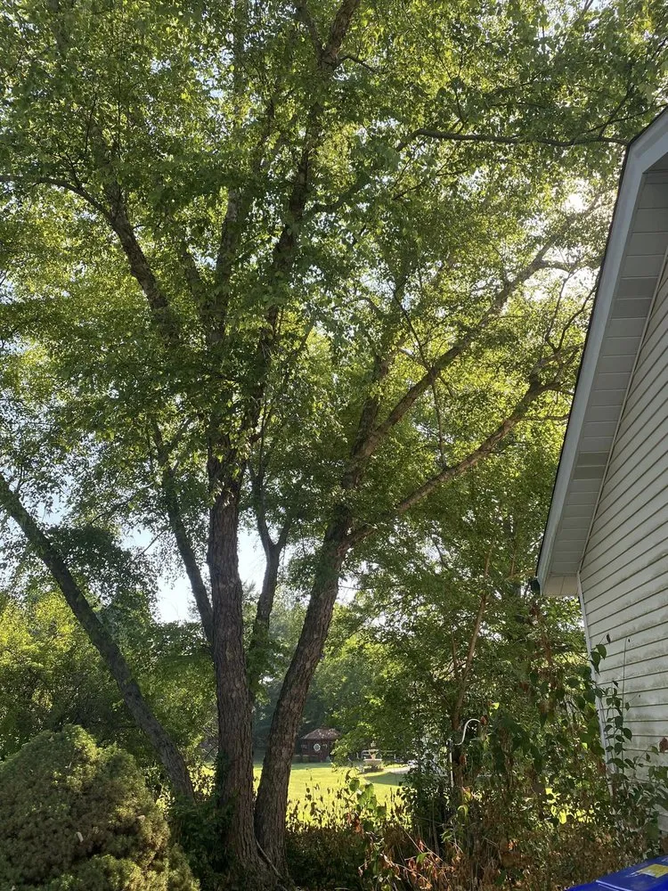 Professional residential landscaping for beautiful yards across Fenton, MO - Nunez Tree & Landscaping