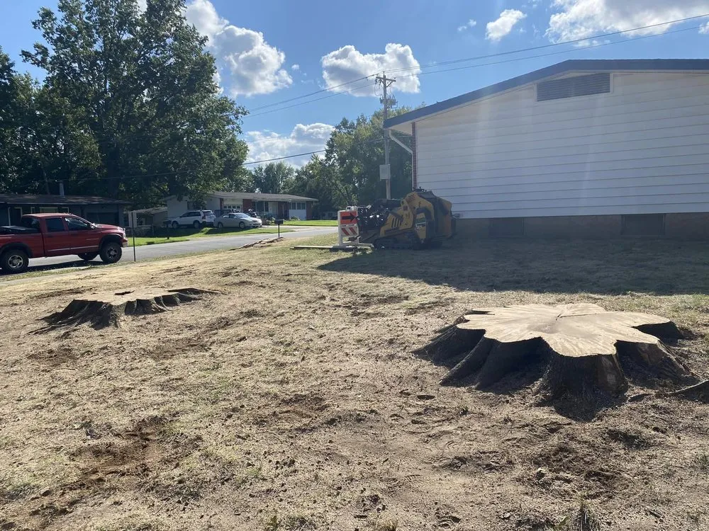 Reliable yard maintenance experts serving Fenton, MO - Nunez Tree & Landscaping