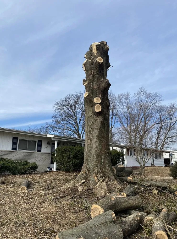 Custom yard cleanup service in Fenton, MO - Nunez Tree & Landscaping