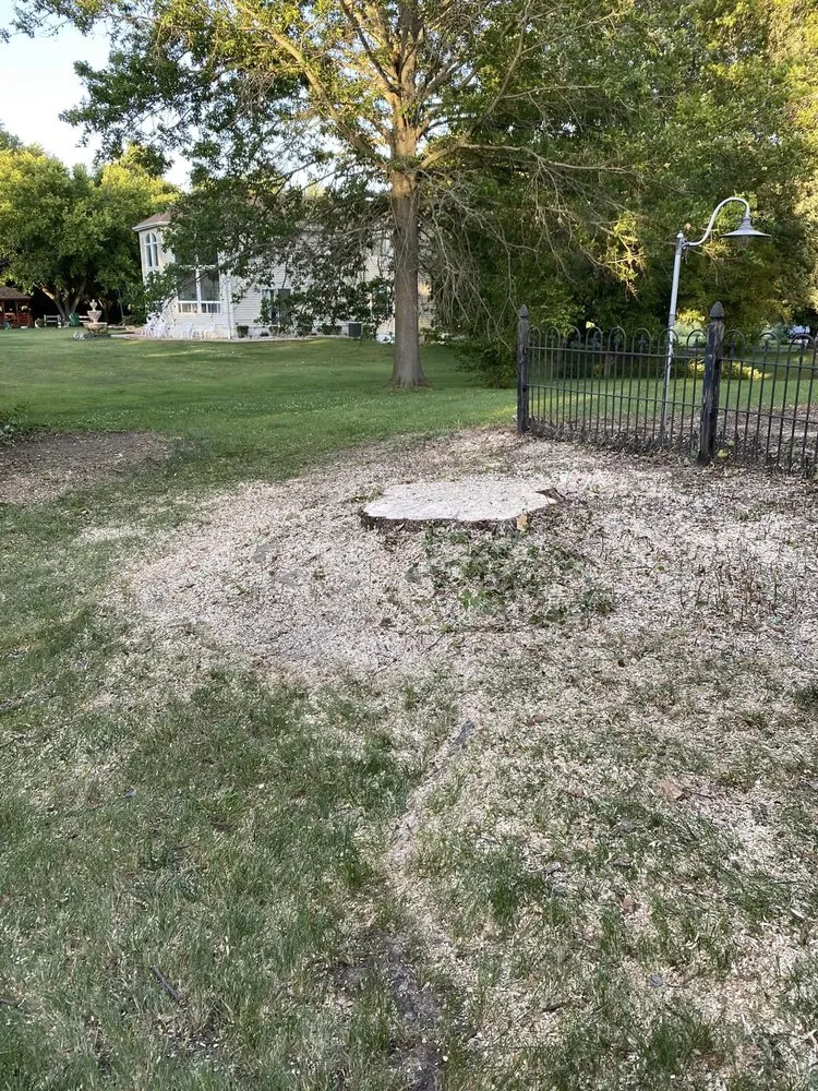 Affordable outdoor landscaping for residential properties in Fenton, MO by Nunez Tree & Landscaping