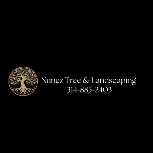 Custom yard maintenance near you across Fenton, MO - Nunez Tree & Landscaping