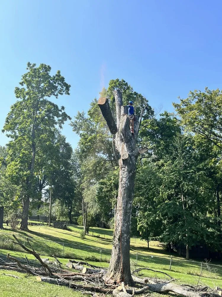 Professional yard maintenance for outdoor upgrades in Fenton, MO by Nunez Tree & Landscaping