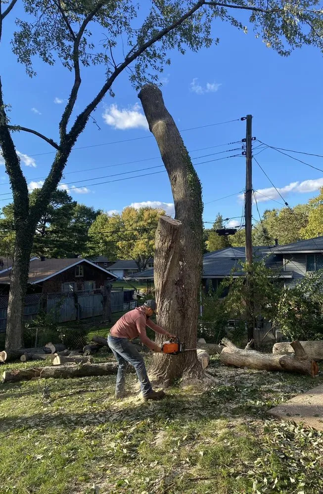 Trusted landscaping services for residential properties across Fenton, MO - Nunez Tree & Landscaping