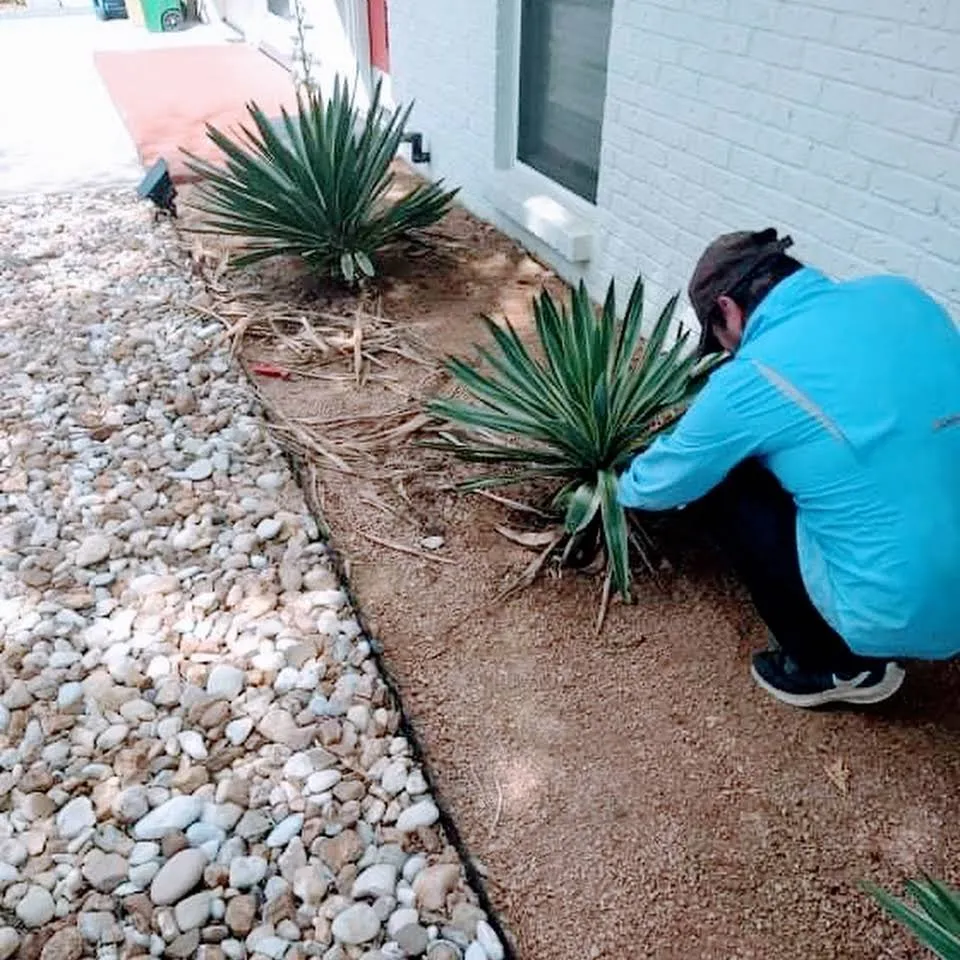 Professional residential landscaping experts serving Austin, TX - Nunez512 Landscaping