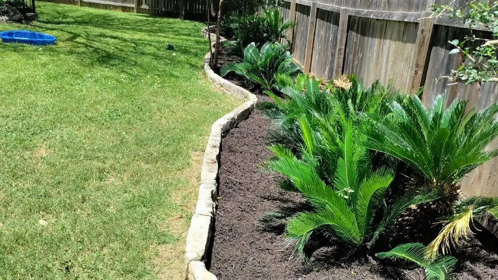 Professional lawn mowing service experts serving Austin, TX - Nunez512 Landscaping