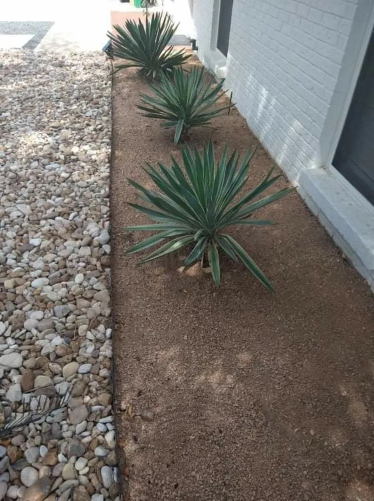 Expert lawn mowing service for outdoor upgrades across Austin, TX - Nunez512 Landscaping