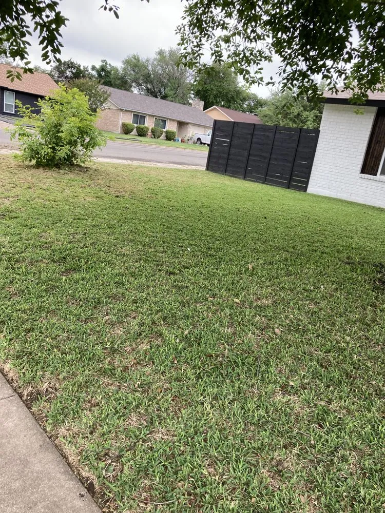 Top-rated residential landscaping experts serving Austin, TX - Nunez512 Landscaping