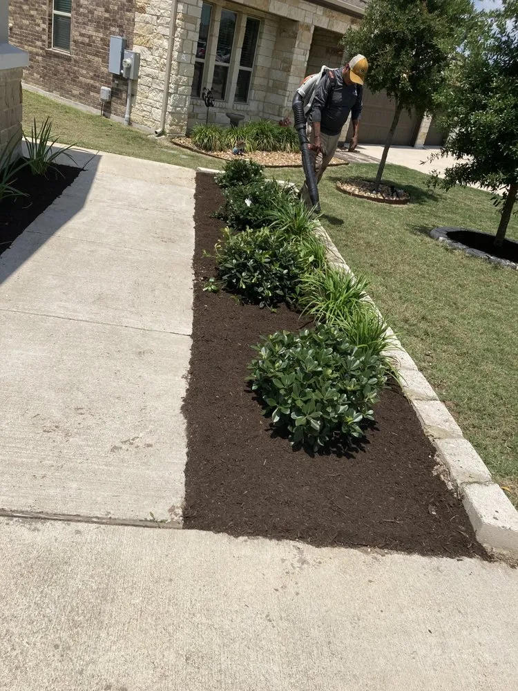 Expert yard maintenance in Austin, TX by Nunez512 Landscaping