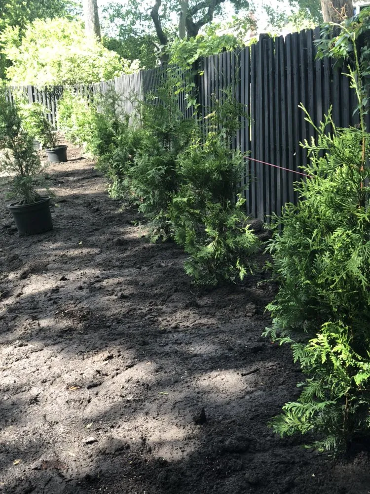 Expert lawn mowing service in Asbury Park, NJ - NUNEZLandscaping