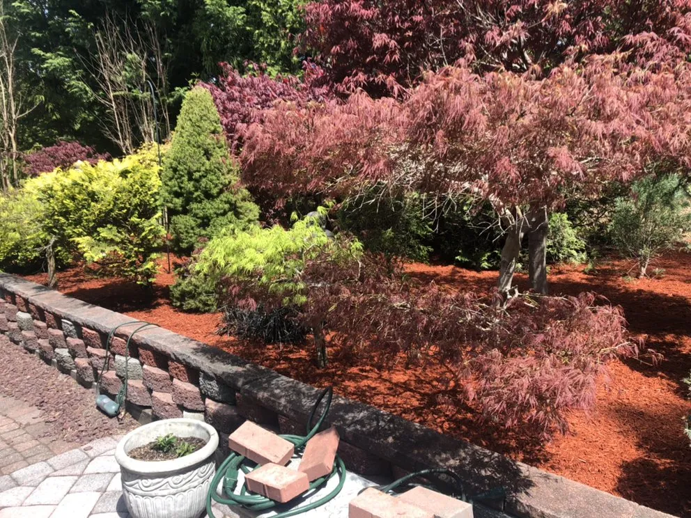 Affordable garden landscaping for outdoor upgrades across Asbury Park, NJ - NUNEZLandscaping