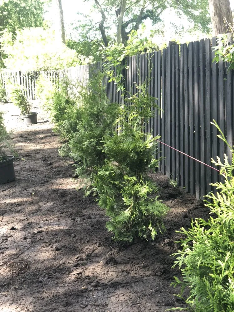 Top-rated lawn mowing service experts serving Asbury Park, NJ - NUNEZLandscaping