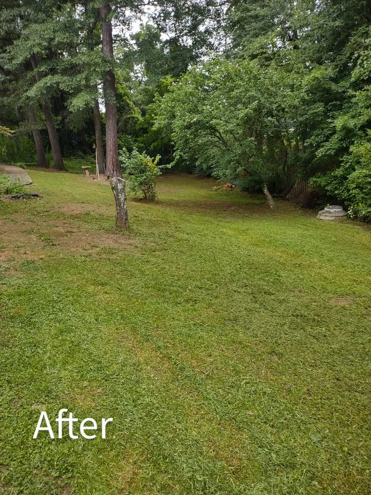 Expert outdoor landscaping in Griffin, GA by Nunn Better Landscaping