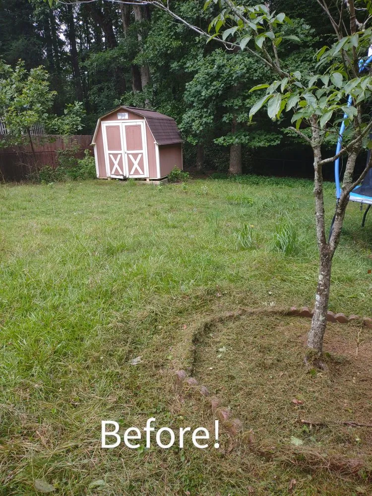 Top-rated landscaping services in Griffin, GA by Nunn Better Landscaping