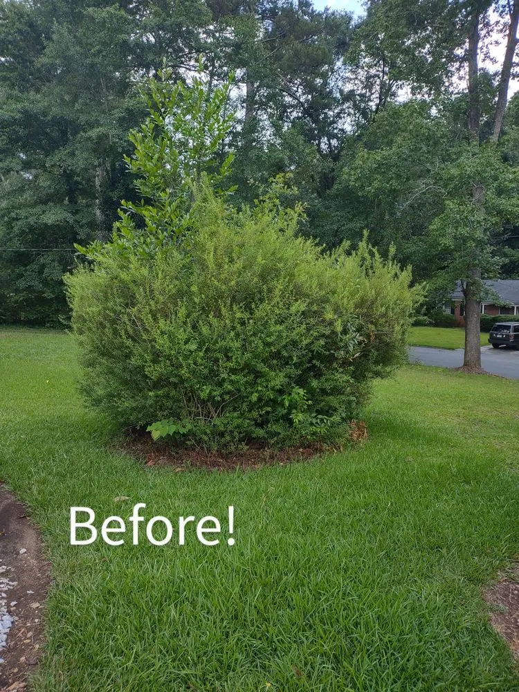 Trusted garden landscaping in Griffin, GA - Nunn Better Landscaping