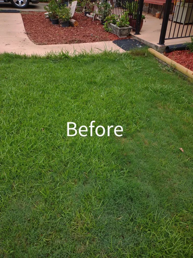 Custom landscape installation experts serving Griffin, GA - Nunn Better Landscaping