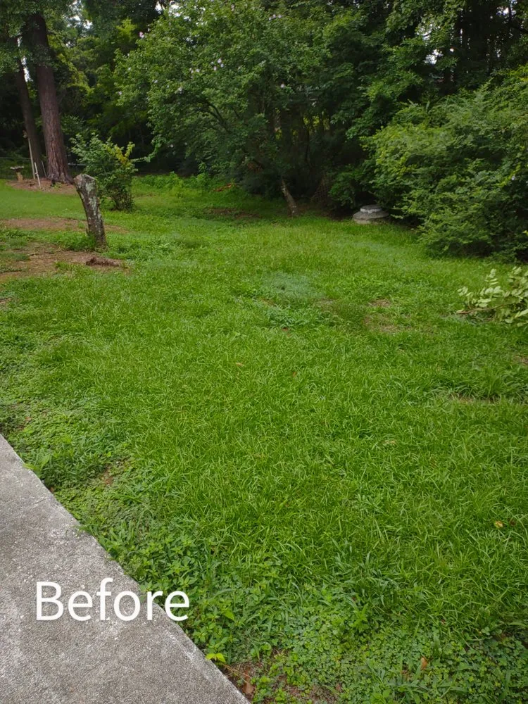 Expert landscape installation for residential properties across Griffin, GA - Nunn Better Landscaping