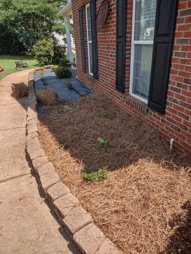 Top-rated yard maintenance in Griffin, GA - Nunn Better Landscaping