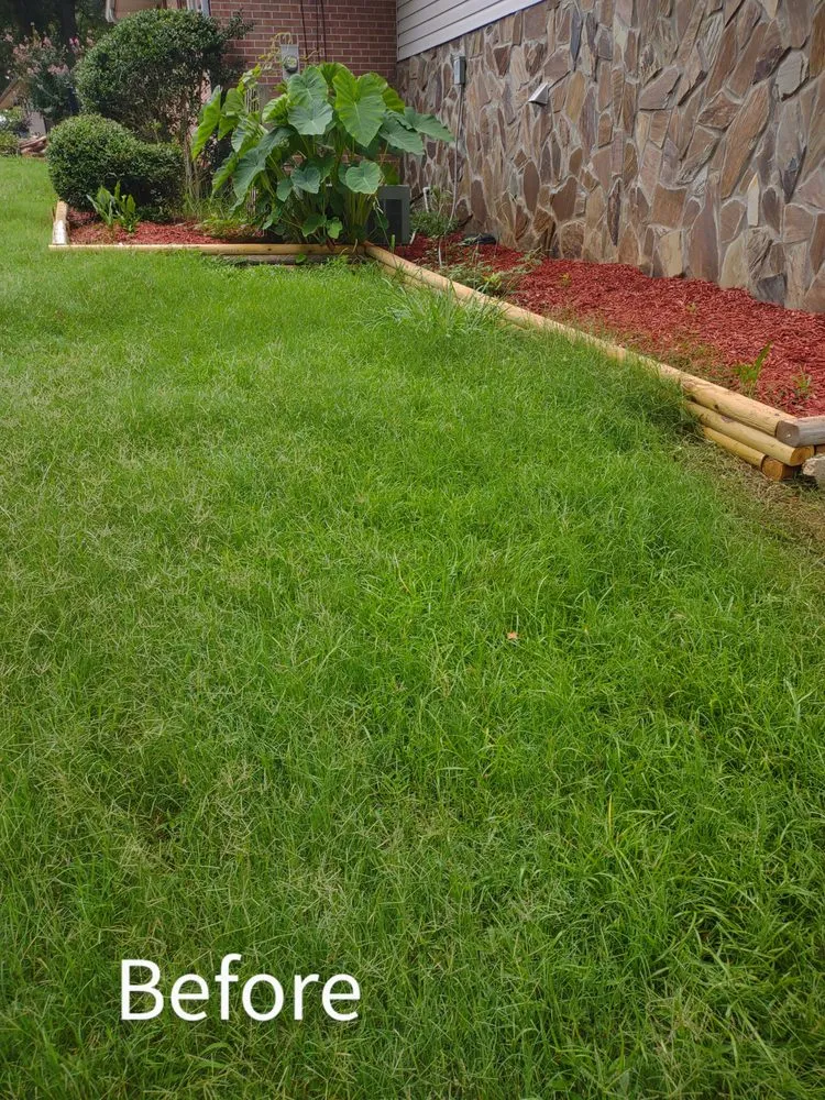 Top-rated outdoor landscaping in Griffin, GA by Nunn Better Landscaping