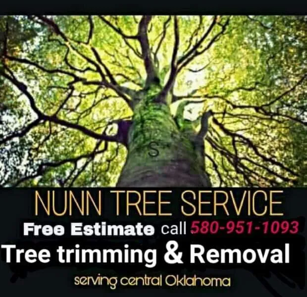 Affordable landscape design for beautiful yards across Lawton, OK - Nunn Tree Service