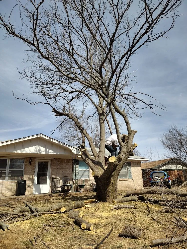Affordable landscape installation for outdoor upgrades across Lawton, OK - Nunn Tree Service
