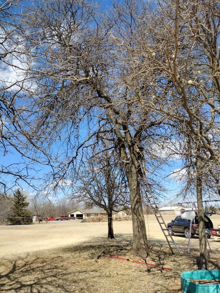 Local yard cleanup service with custom design across Lawton, OK - Nunn Tree Service