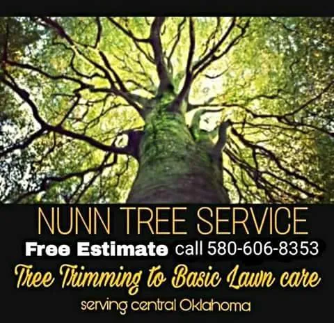 Expert landscape design experts serving Lawton, OK - Nunn Tree Service